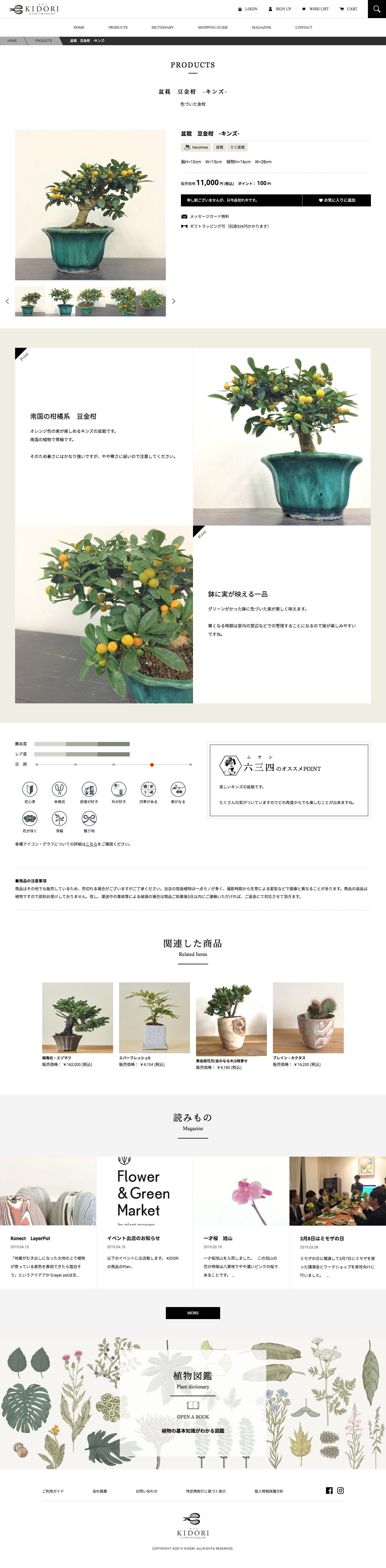 盆栽、多肉植物、塊根植物、観葉植物通販/KIDORI -キドリ-のスクリーンショット - 商品詳細